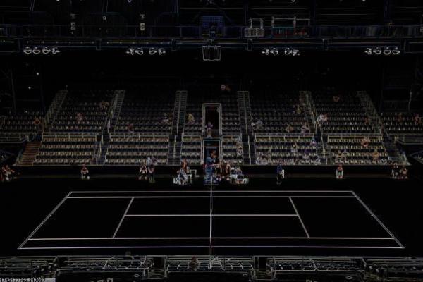 央视体育节目关注的热门体育项目