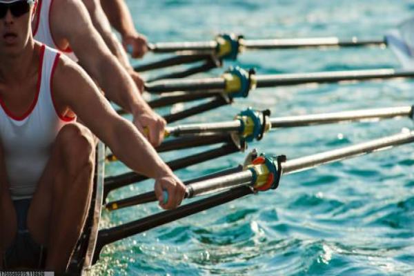 金陵体育篮球培训器材价格对比分析