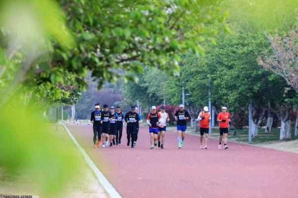 王牌战士角色克制表与实战技巧